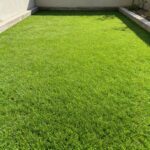 garden carpet, artificial grass carpet, artificial turf, synthetic grass, fake grass carpet, grass carpet, outdoor grass carpet, green grass carpet, landscape grass carpet, lawn carpet, turf carpet, garden turf, artificial lawn, fake lawn, synthetic lawn, outdoor carpet, balcony grass carpet, balcony turf, terrace grass carpet, patio grass carpet, backyard grass carpet, rooftop grass carpet, outdoor flooring, garden flooring, lawn flooring, landscape flooring, artificial grass mat, turf mat, grass mat, decorative grass carpet, home garden carpet, garden décor, landscaping grass, premium artificial grass, luxury artificial grass, durable grass carpet, UV resistant artificial grass, Garden Carpet Kenya, Garden Carpet for Sale Kenya, Buy Garden Carpet Kenya, Artificial Grass Carpet Kenya, Outdoor Grass Carpet Kenya, Synthetic Grass Carpet Kenya, Fake Grass Carpet Kenya, Garden Turf Kenya, Artificial Turf Kenya, Artificial Lawn Kenya, Synthetic Lawn Kenya, Grass Mat Kenya, Outdoor Carpet Kenya, Patio Carpet Kenya, Balcony Grass Carpet Kenya, Terrace Grass Carpet Kenya, Rooftop Grass Carpet Kenya, Landscaping Grass Kenya, Decorative Grass Carpet Kenya, Green Grass Carpet Kenya, Garden Flooring Kenya, Outdoor Flooring Kenya,