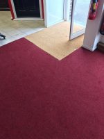 Carpet Kenya, carpets Kenya, floor carpet Kenya, home carpet Kenya, living room carpet Kenya, bedroom carpet Kenya, office carpet Kenya, wall to wall carpet Kenya, modern carpet Kenya, luxury carpet Kenya, affordable carpet Kenya, quality carpet Kenya, soft carpet Kenya, fluffy carpet Kenya, fluffy rugs Kenya, area rugs Kenya, decorative carpet Kenya, indoor carpet Kenya, outdoor carpet Kenya, artificial grass carpet Kenya, synthetic grass carpet Kenya, green grass carpet Kenya, loop pile carpet Kenya, plush carpet Kenya, patterned carpet Kenya, plain carpet Kenya, non slip carpet Kenya, durable carpet Kenya, heavy duty carpet Kenya, waterproof carpet Kenya, washable carpet Kenya, carpet for sale Kenya, buy carpet Kenya, carpet prices Kenya, cheap carpet Kenya, premium carpet Kenya, carpet shop Kenya, carpet supplier Kenya, carpet store Kenya, carpet online Kenya, carpet delivery Kenya, carpet installation Kenya, carpet fitting Kenya, carpet rolls Kenya, carpet tiles Kenya, carpet mats Kenya, stair carpet Kenya, corridor carpet Kenya, hallway carpet Kenya, entrance carpet Kenya, commercial carpet Kenya, residential carpet Kenya, hotel carpet Kenya, restaurant carpet Kenya, mosque carpet Kenya, church carpet Kenya, school carpet Kenya, nursery carpet Kenya, gym carpet Kenya, sports carpet Kenya, playground carpet Kenya,